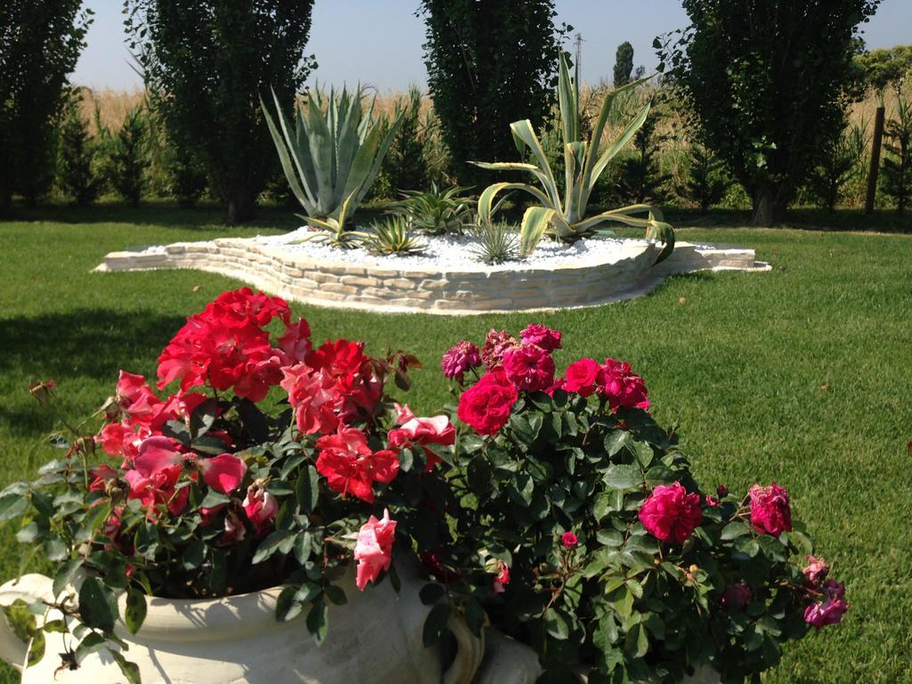 Hotel Bussana Porto Tolle Εξωτερικό φωτογραφία