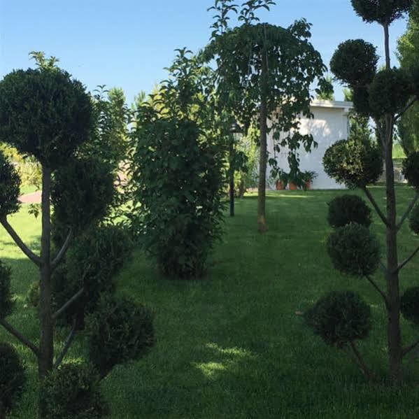 Hotel Bussana Porto Tolle Εξωτερικό φωτογραφία